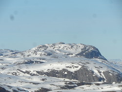 Leirnuten