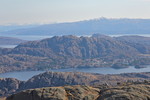 Ravnenipa