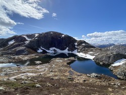 Lokråknuten