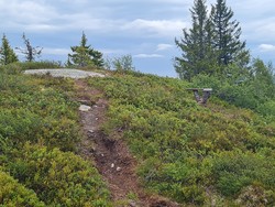 Buffrifjellet