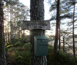 Høgåsen