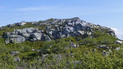Geitekyrkja