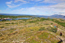 Hollendarheia