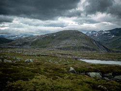 Skardnebba