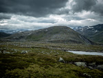 Skardnebba