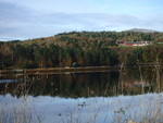 Forhaugen