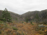Lammatoknuten