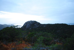 Ørnahammaren