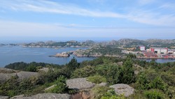 Mikkelsknuten