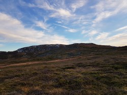 Finngamman
