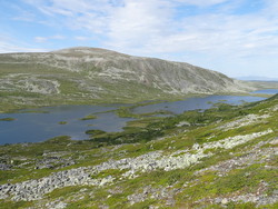 Hundshögen