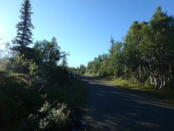 Fasesknippen Bom