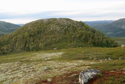 Trollnatten