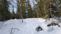 Erstjønnhaugen