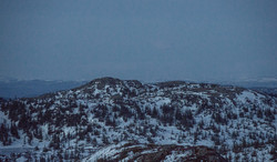 Skardsfjellet