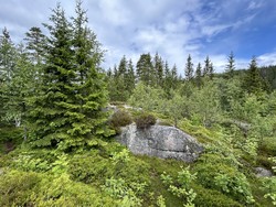 Heitåsen