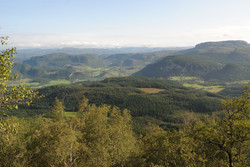 Åsen