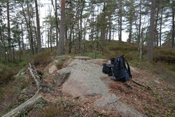 Striglevannsås