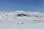 Storpurka