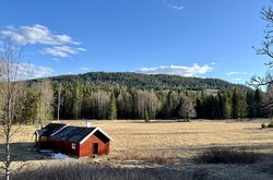Hvitsteinåsen