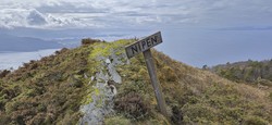 Nipen