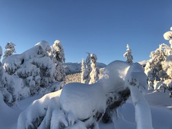 Dyrbeintjernshøgda