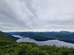Mosehaugane