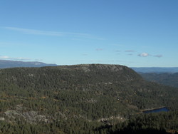 Fjesliknatten