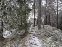 Vennevålshøgda