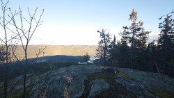 Høgesyn