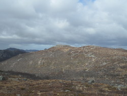 Karten