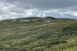 Røgnhøgda SØ