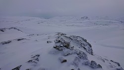 Blåsåta