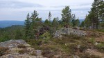 Langåsen