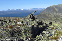 Sæterkampen
