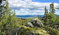 Liaåsen