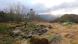 Gomannshytten (ruin)
