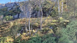 Tuft nord for Vardheim (Løvstakken)