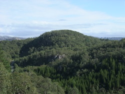 Ørkåsen