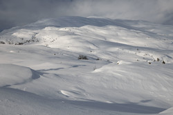 Svartdalshornet