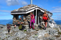 Blånebu