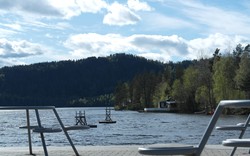 Tjærehjellkollen