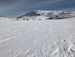 Håstarren