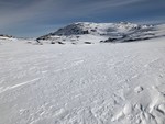 Håstarren