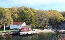 Sildevika