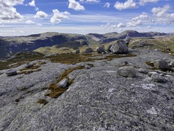 Fossaknuten