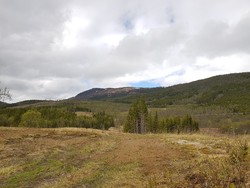 Blåfjellet