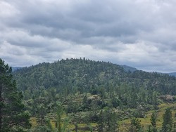 Lindefjellet Nordre