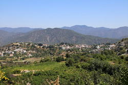 Tripylos
