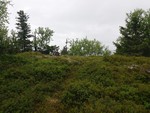 Bergevassknotten